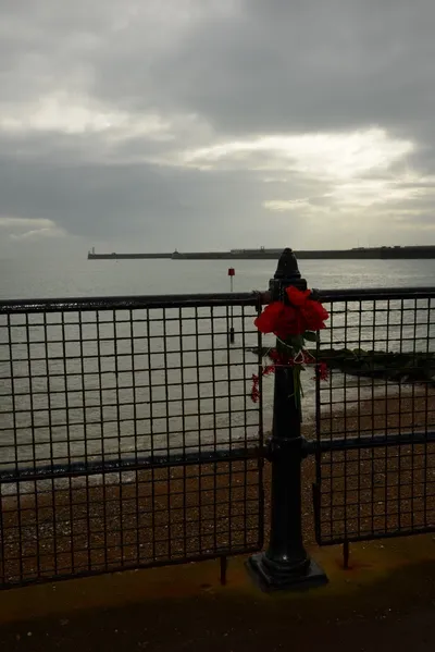 DSC_1278 (Large).JPG